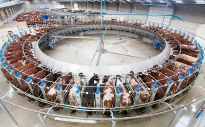 Татарстан наращивает производство товарного молока